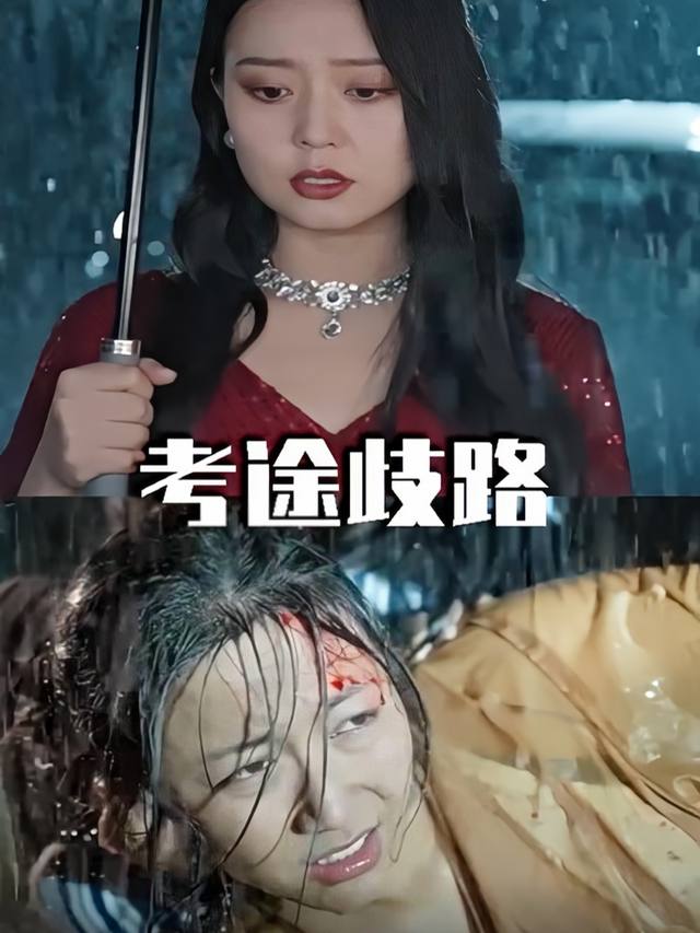 考途歧路封面