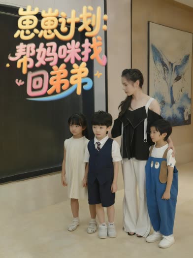 崽崽计划:帮妈咪找回弟弟封面