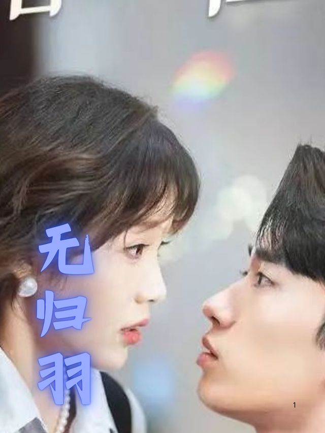 无归羽封面