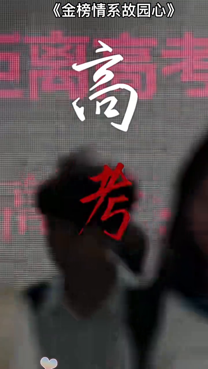 金榜情系故园心封面