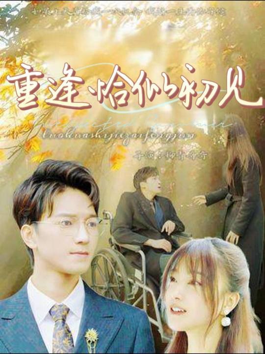重逢恰似初见封面