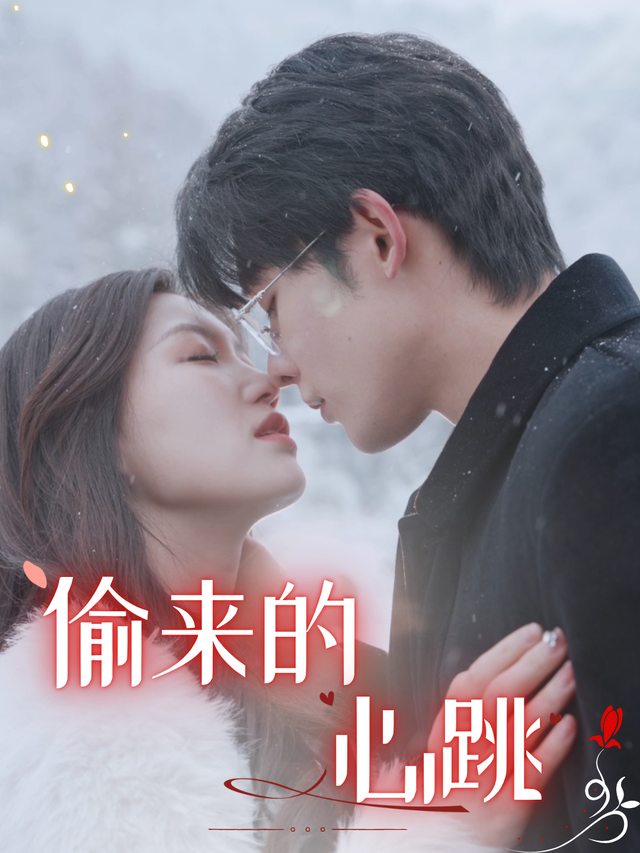 偷来的心跳封面