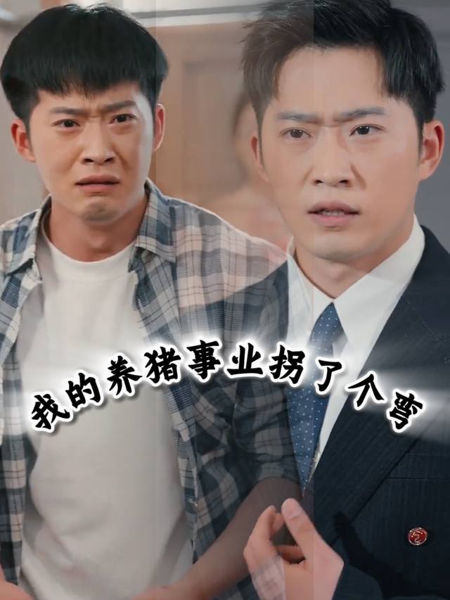 我的养猪事业拐了个弯封面