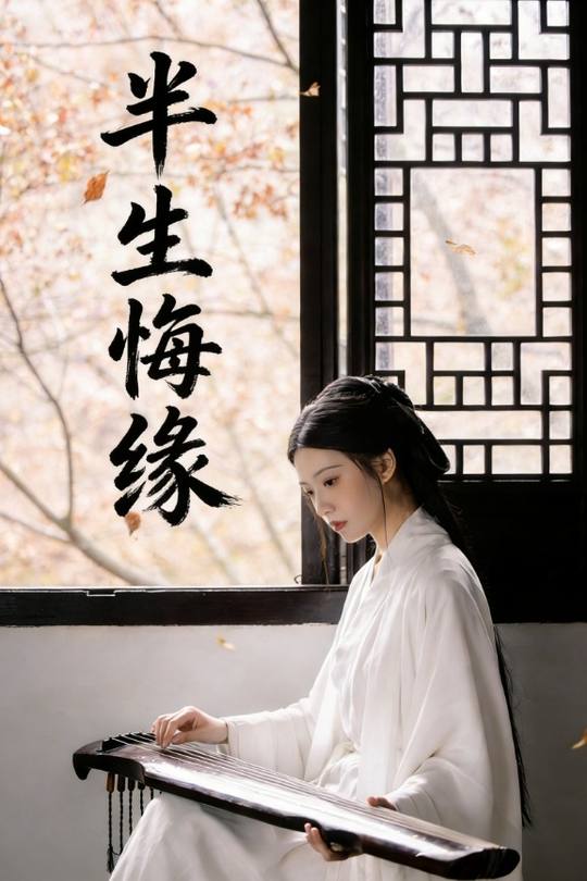 半生悔缘封面