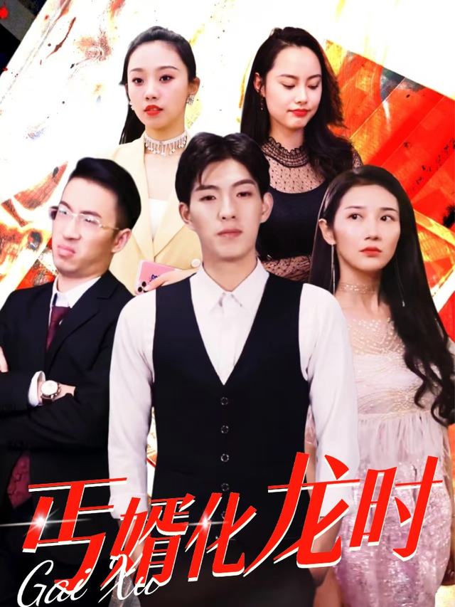 丐婿化龙时封面