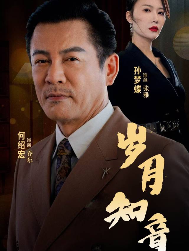 岁月知音封面