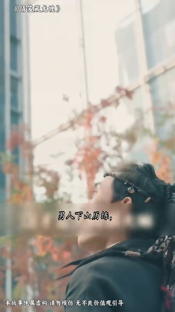 情笺藏龙魄封面