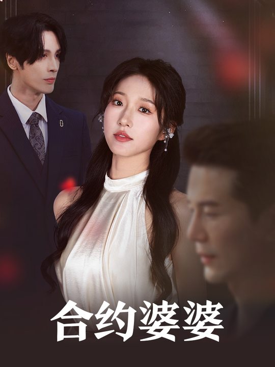 合约婆婆封面