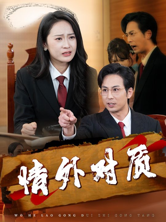 情外对质封面
