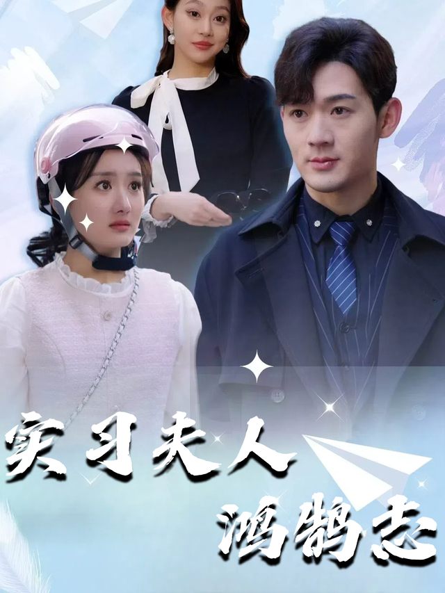 实习夫人鸿鹄志封面