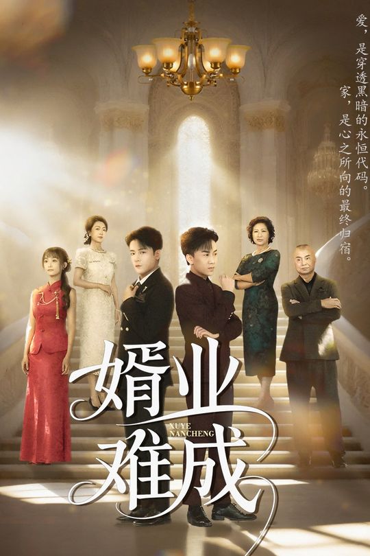 婿业难成封面