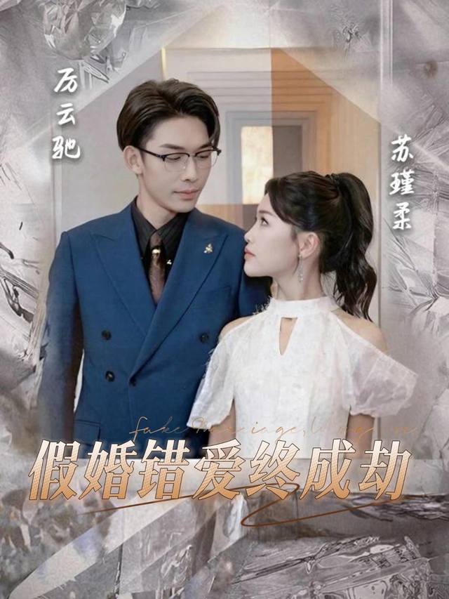 假婚错爱终成劫封面