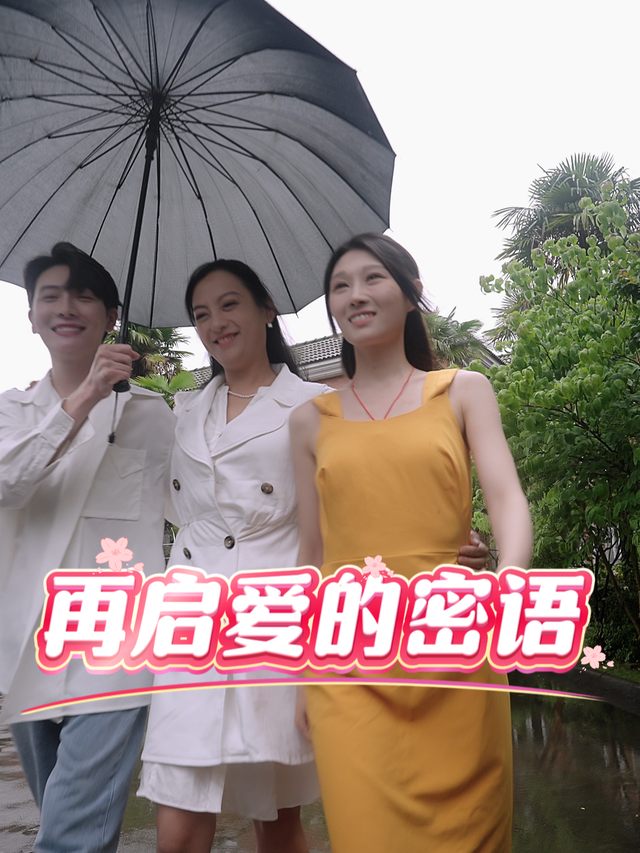 再启爱的密语封面