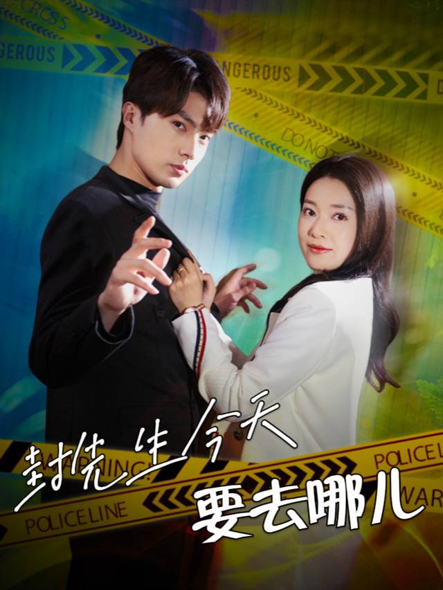封先生今天要去哪儿封面