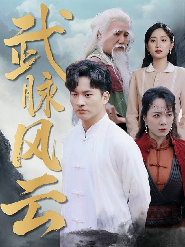 武脉风云封面