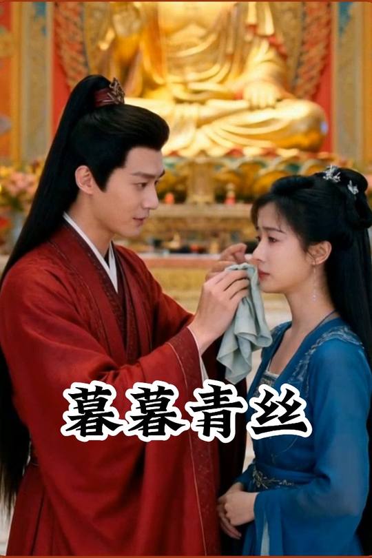 暮暮青丝封面