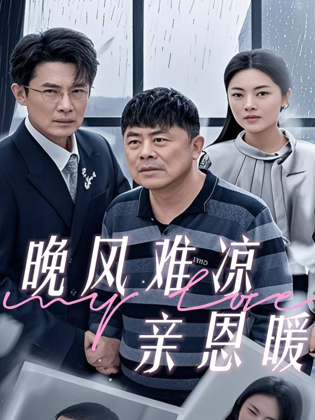 晚风难凉亲恩暖封面