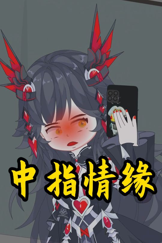 中指情缘封面