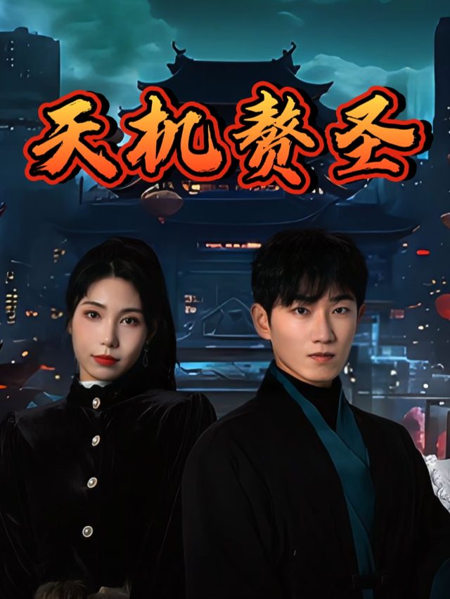 天机赘圣封面