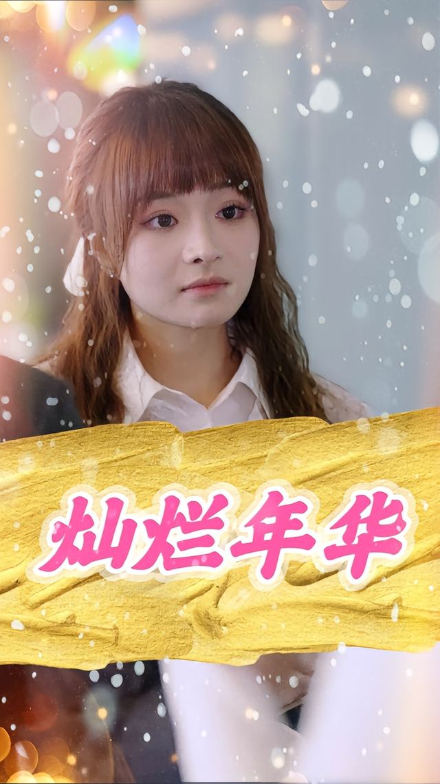 灿烂年华封面
