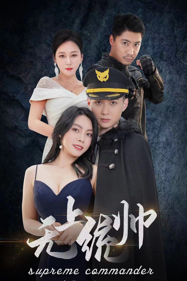 无上统帅封面
