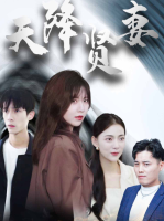天降贤妻封面