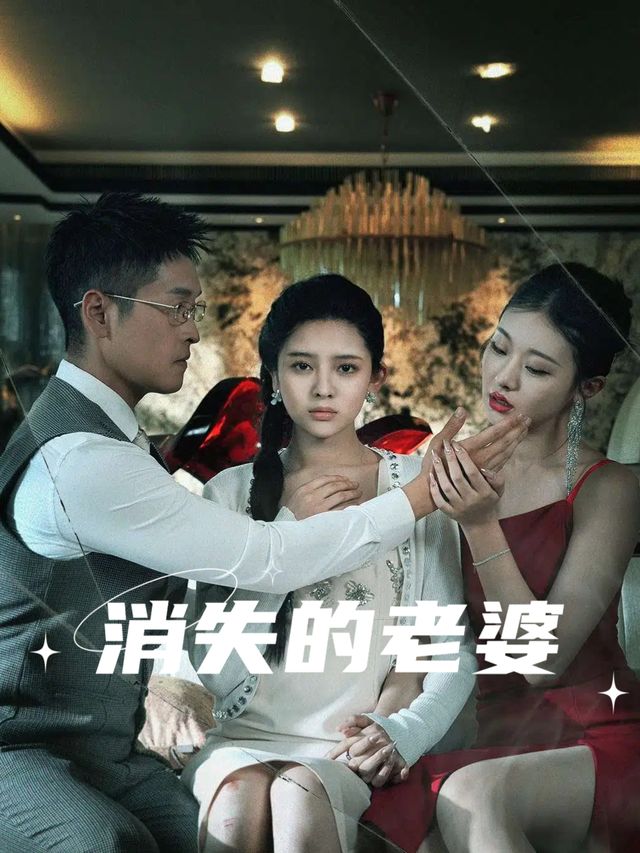 消失的老婆封面