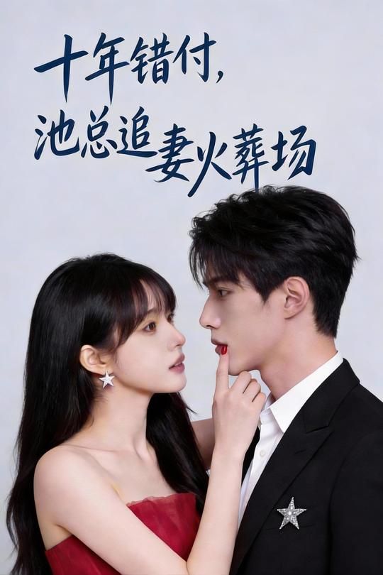 十年错付,池总追妻火葬场封面
