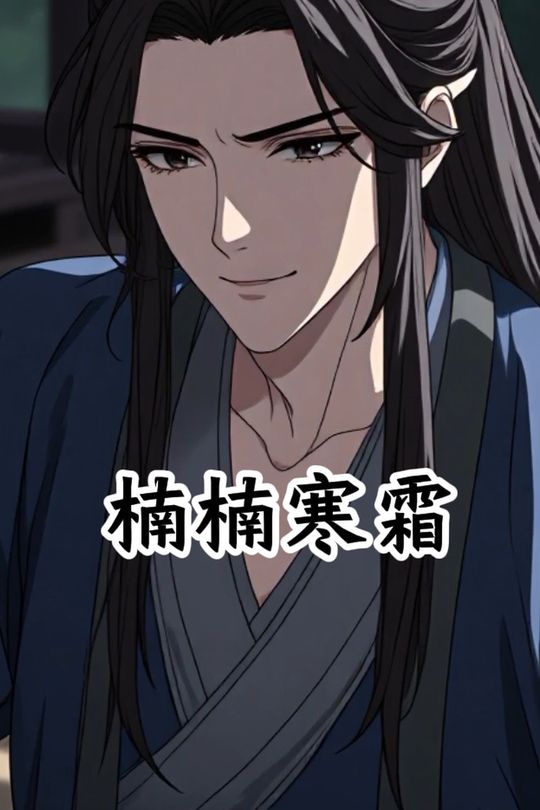 楠楠寒霜封面