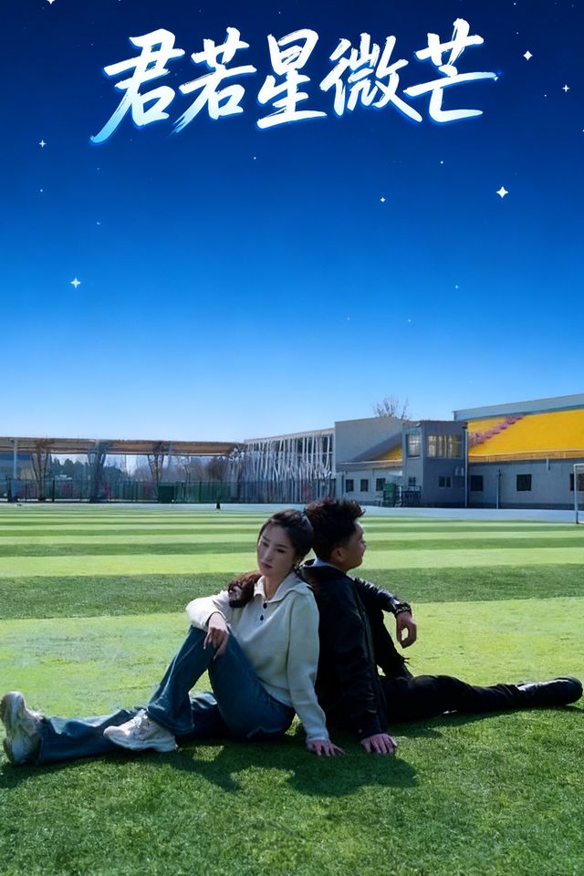 君若星微芒封面