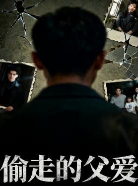 偷走的父爱封面