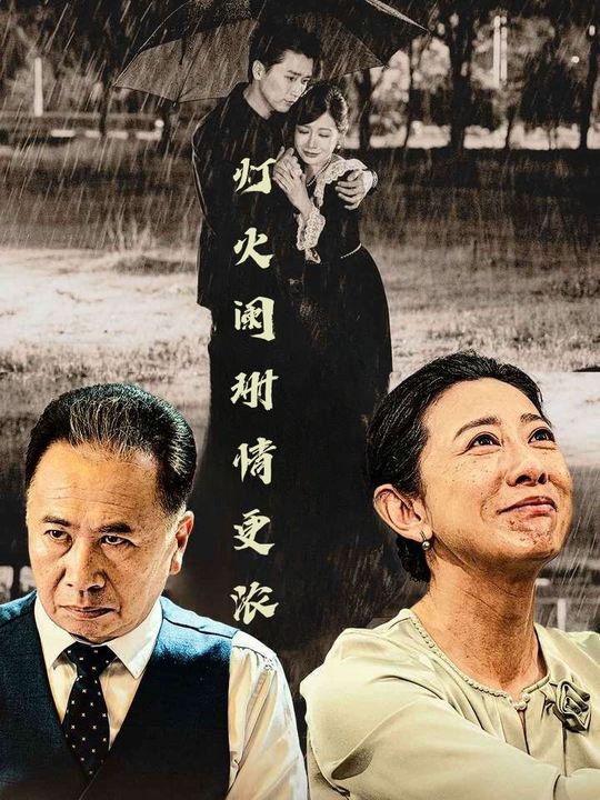 灯火阑珊情更浓封面