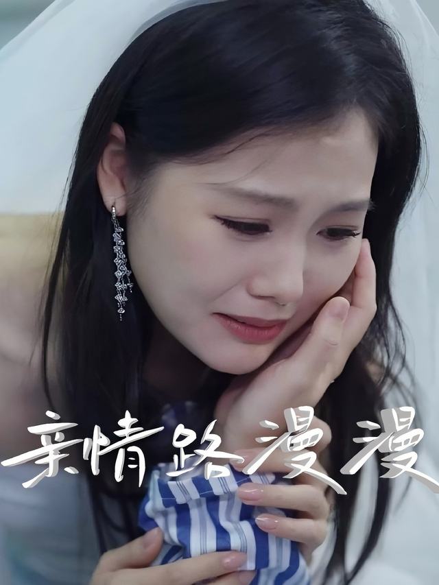 亲情路漫漫封面