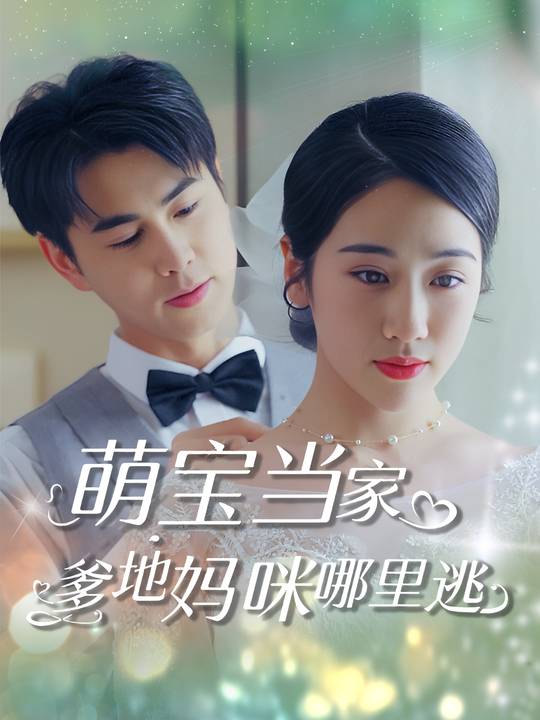 萌宝当家,爹地妈咪哪里逃封面