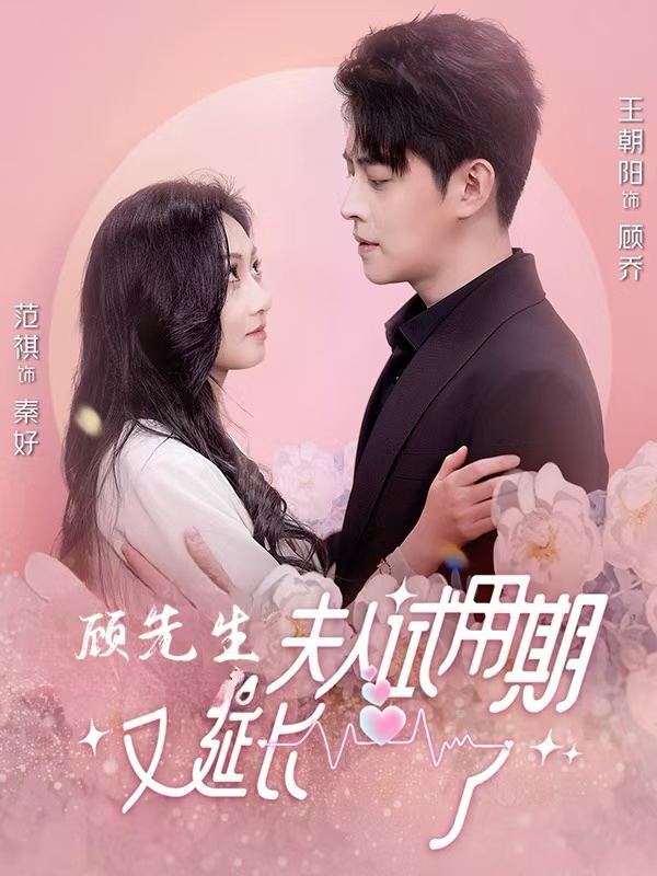 顾先生,夫人试用期又延长了封面
