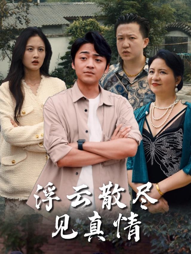 浮云散尽见真情封面