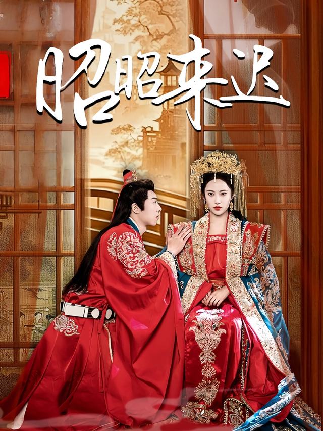 昭昭来迟封面