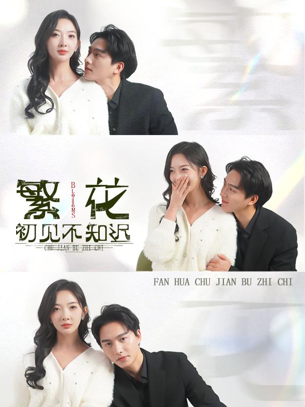 繁花初见不知迟封面