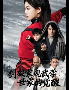 剑破家规武学世家的觉醒封面