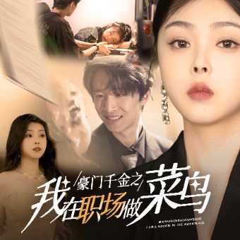 豪门千金之我在职场做菜鸟封面