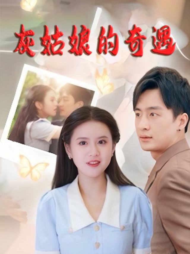 灰姑娘的奇遇封面