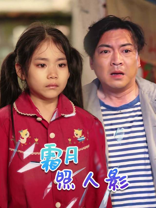 霜月照人影封面