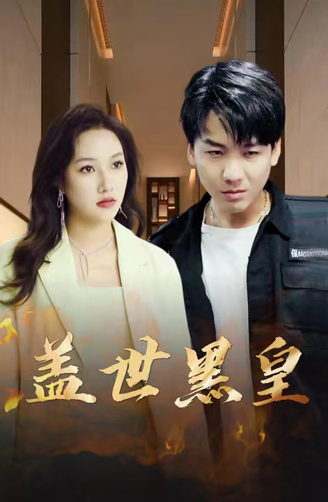 盖世黑皇封面