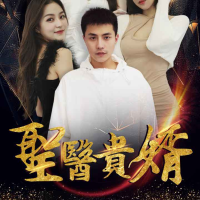 圣医贵婿封面