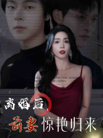 离婚后,前妻惊艳归来封面