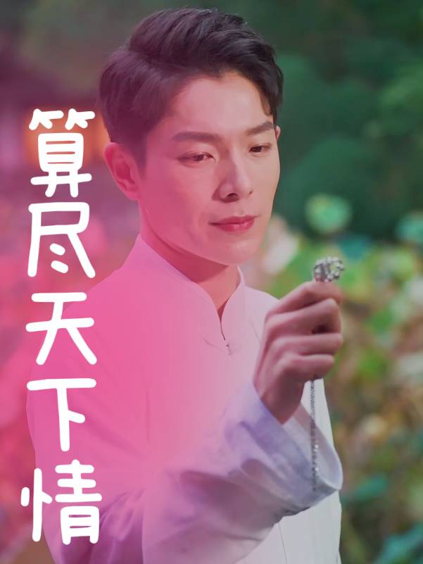 算尽天下情封面