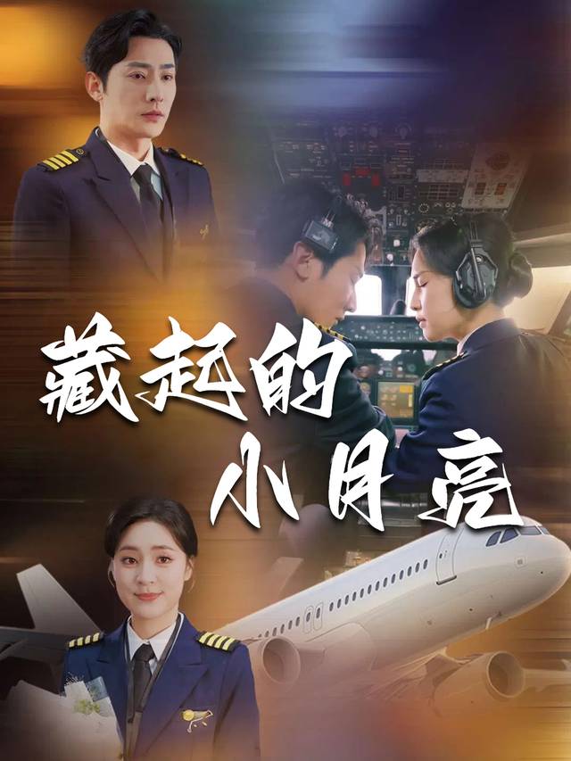 藏起的小月亮封面