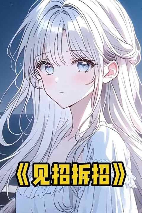 见招拆招封面