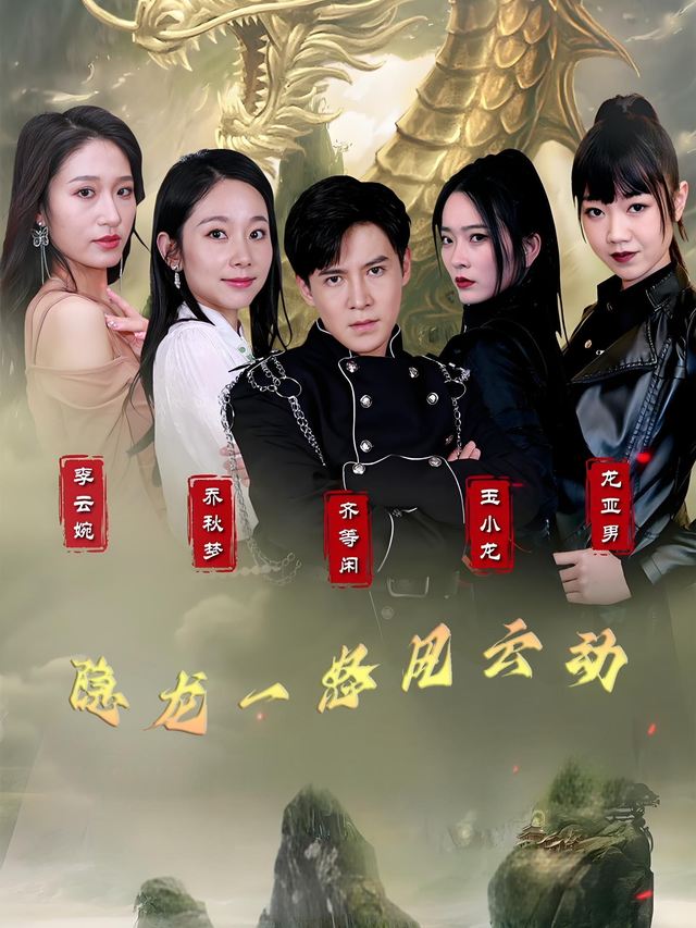 隐龙一怒风云动封面