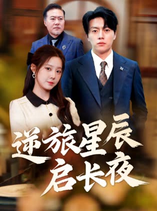 逆旅星辰启长夜封面